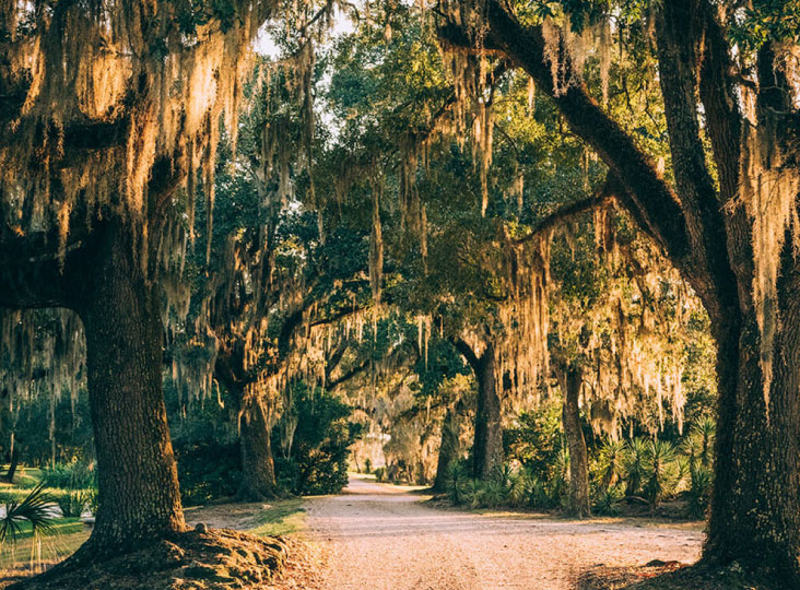 Avery Island Bridge